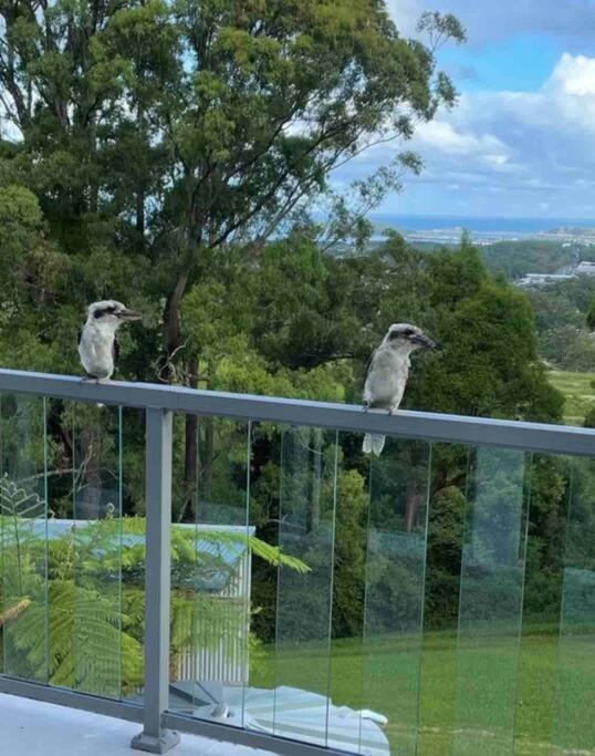 Ocean View Oasis, Coffs Harbour公寓 外观 照片